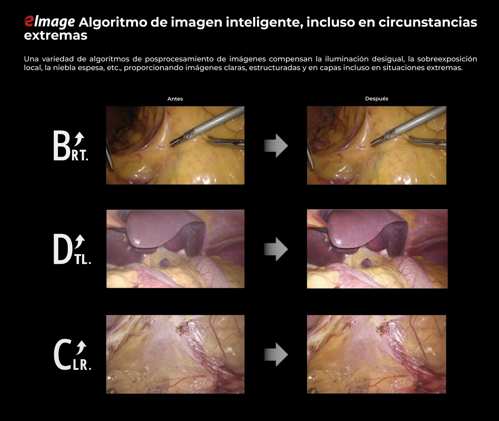 7 7cd56003 b1d8 4072 807b