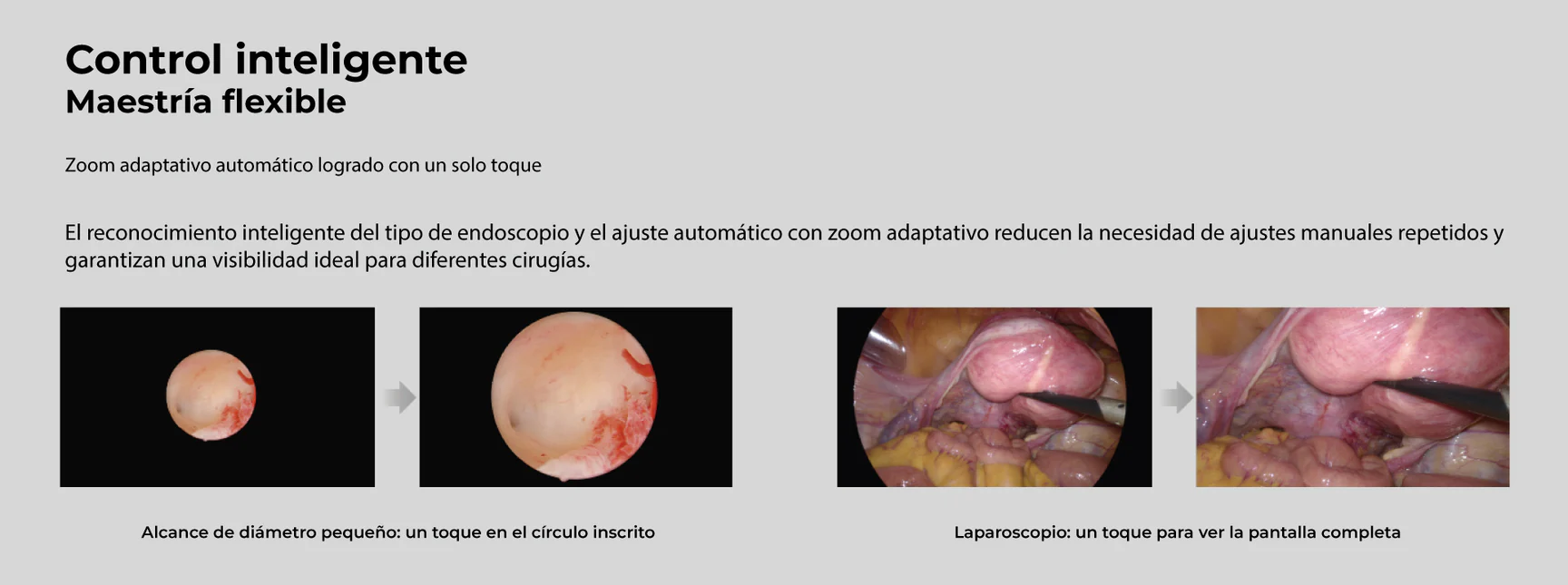 9 124483fd 48c6 4c7a aff3